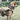 ComfortPaw | Verstelbaar Tactisch Veiligheidsharnas voor Honden - Bliss Home