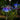 SparkGlow | Zonne-Lampen in Vuurwerkstijl - Bliss Home