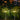SparkGlow | Zonne-Lampen in Vuurwerkstijl - Bliss Home