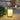 EcoLamp | Design Zonne-buitenlamp - Bliss Home