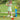 StartGolf | Junior trainingsset - Bliss Home