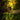 SolarRock | Tuinverlichting in Steen - Bliss Home