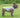 CoolPaw | Hittebescherming voor Honden in de Zomer - Bliss Home