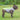 CoolPaw | Hittebescherming voor Honden in de Zomer - Bliss Home