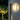 LumiEdgeGlow | Moderne LED Lampen voor een Stijlvolle Buitenlook - Bliss Home