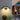 GuardBeam | Bewegingssensor Buitenlamp - Bliss Home