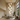 Moderne Kroonluchter met Glazen Bollen en Verstelbare Hoogte – Scandinavische Hanglamp voor Elegante Ruimtes 3