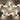GlowPath | LED Buitenwandlamp voor Tuin en Terras - Bliss Home