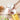 KookSpray - Olijfolie Dispenser met Precisie - Bliss Home