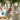 NoelDelight | Kerstboom Decor Hangende Ornamenten - Bliss Home
