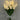LightBloom | Decoratieve Tulpen - Bliss Home
