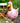 CluckChic | Luxe Grappige Kip Hek Decoratie voor Huis en Tuin - Bliss Home