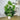 PalmLux | Realistische Sierplant Met Groot Blad - Bliss Home