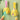 QuackClean | Leuke Tandpasta Extruder voor Kinderen - Bliss Home