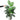BotanicalBliss | Luxe Kunstplanten Voor Huis en Tuin - Bliss Home