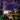 ColorShine – Magische RGBIC Verlichting voor Feest en Sfeer - Bliss Home