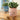 PlantPals | Creatieve Plantenknuffel - Bliss Home