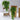PersianElegance | Luxe Hangende Varenbladeren Sierplant - Bliss Home