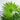 PalmLux | Realistische Sierplant Met Groot Blad - Bliss Home