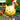 CluckChic | Luxe Grappige Kip Hek Decoratie voor Huis en Tuin - Bliss Home