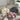BabyBliss - Spandex Fotografie Kussen - Bliss Home