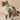 PawStrideFit | Reflecterend Harnas & Riem voor Huisdieren - Bliss Home
