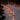 CandyCaneLuxe | Waterdichte LED Kerstverlichting - Bliss Home