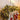 LichtLuxe | Kunstmatige Dennengirlande met LED-verlichting - Bliss Home