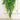 PersianElegance | Luxe Hangende Varenbladeren Sierplant - Bliss Home
