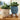 PlantPals | Creatieve Plantenknuffel - Bliss Home