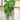 PersianElegance | Luxe Hangende Varenbladeren Sierplant - Bliss Home