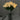 LightBloom | Decoratieve Tulpen - Bliss Home