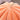 PumpkinPaws | Knus Gesloten Kattenbed voor de Winter - Bliss Home