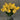 LightBloom | Decoratieve Tulpen - Bliss Home