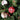 KerstGlans | Exquisite Boom Ornamenten - Bliss Home