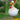 CluckChic | Luxe Grappige Kip Hek Decoratie voor Huis en Tuin - Bliss Home