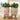 PlantPals | Creatieve Plantenknuffel - Bliss Home