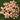 Goudenelegantie | Kerstboom Decoratie Boeket Set - Bliss Home