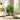 PalmLux | Realistische Sierplant Met Groot Blad - Bliss Home