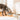 HalsVeilig | Luxe Pet Bowl met Hoge Voet voor Katten en Honden - Bliss Home