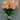 LightBloom | Decoratieve Tulpen - Bliss Home