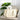 LuxCarry | Stevige en Veilige Reistas voor Kleine Honden en Katten - Bliss Home