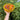 ElegantMesh | Dubbelwandige Stalen Fruitmand voor Ventilatie en Stijl - Bliss Home