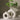 PureVaas | Stijlvolle Witte Decoratie - Bliss Home