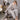 CozyFleece - Zachte 2-Delige Loungewear Set - Gezellige Dames Pyjama voor Ontspannen Dagen - Bliss Home