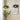 GlowNordica | Noorse Glazen Hangverlichting - Bliss Home