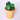 DesertSprout – Cactus Meetlepel Set voor Nauwkeurige Maatbepalingen - Bliss Home