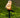 ShinePillar | Tuinlamp met Zonne-energie en Paal - Bliss Home