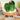 DesertSprout – Cactus Meetlepel Set voor Nauwkeurige Maatbepalingen - Bliss Home