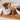 EleganceFork - Stijlvol & Functioneel - Hygiënische RVS Fruitvorken - Bliss Home